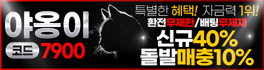 야옹이